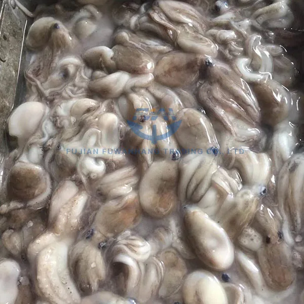 
Frozen baby octopus wholesale for Korea market 