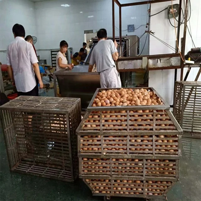 High quality chicken/duck egg washer cleaner and dryer machine for sale