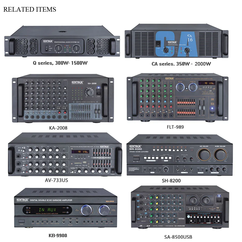 2 Channel 25W Power Audio USB EQ Digital Echo Karaoke Amplificador Amplifier