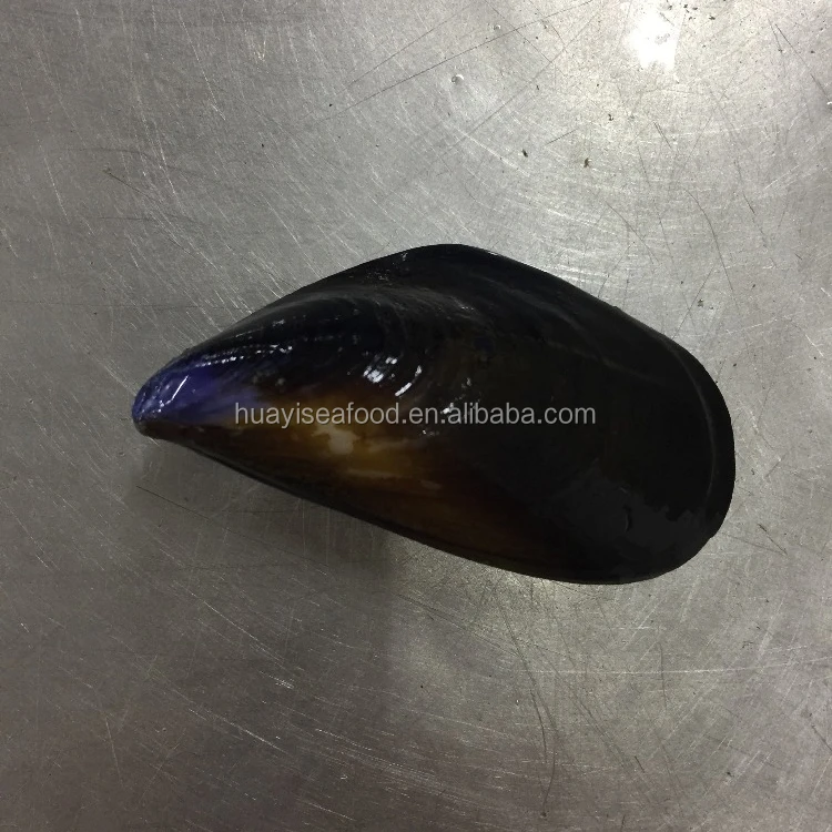 Замороженная вареная мишура мясо митилус эдулис