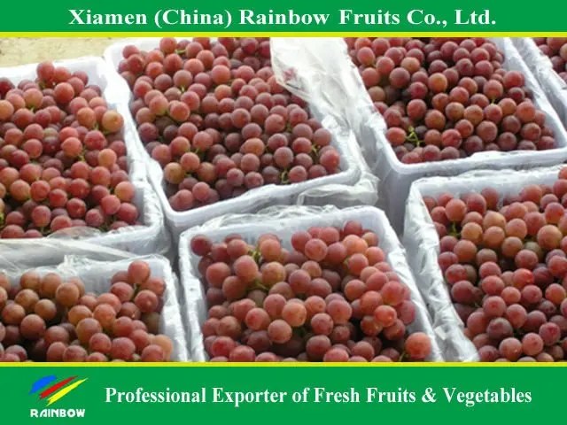 
Chinese fresh delicious red table globe grape wine grapes 