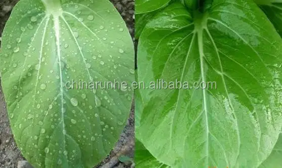 RH-208 Pesticide Additive Silicone Adjuvant Silicone Spreader Polyether Modified Trisiloxane Agricultural Silicone Surfactant