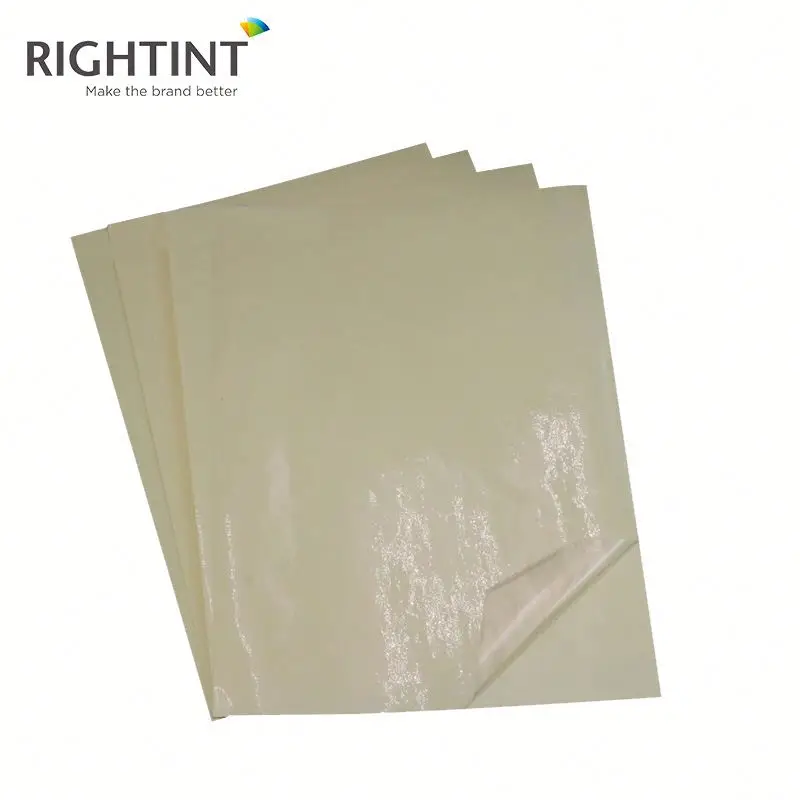 Adhesive Pet Film Self Adhesive Backed Mylar Sheets Metallized Film Decorative Film Transparent Sheet or Roll Casting Rigid