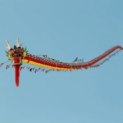 Традиционный китайский подарок на заказ, змей с драконом