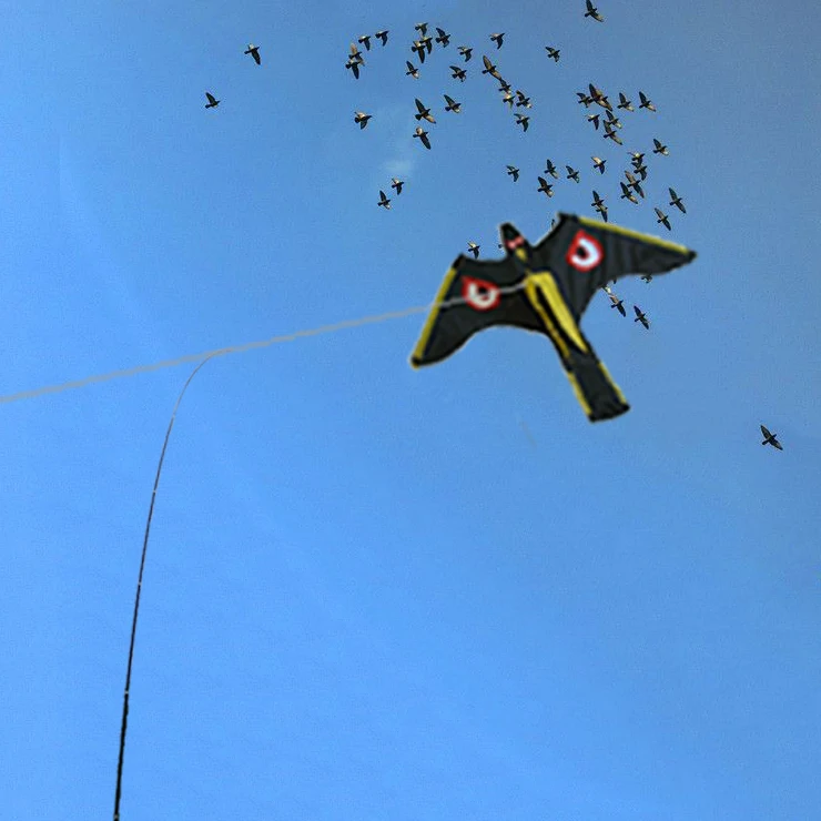 Black nylon owl hawk kite scare birds from the kite factory