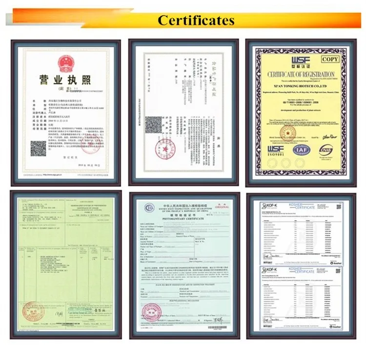 
ISO factory Astragalus Membranaceus Extract 0.3% Astragalus root extract 