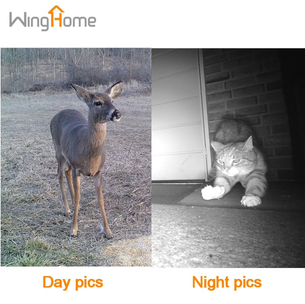 WingHome 350CG Night Vision Outdoor 3G digital trail hunting camera with ce/rohs/fcc