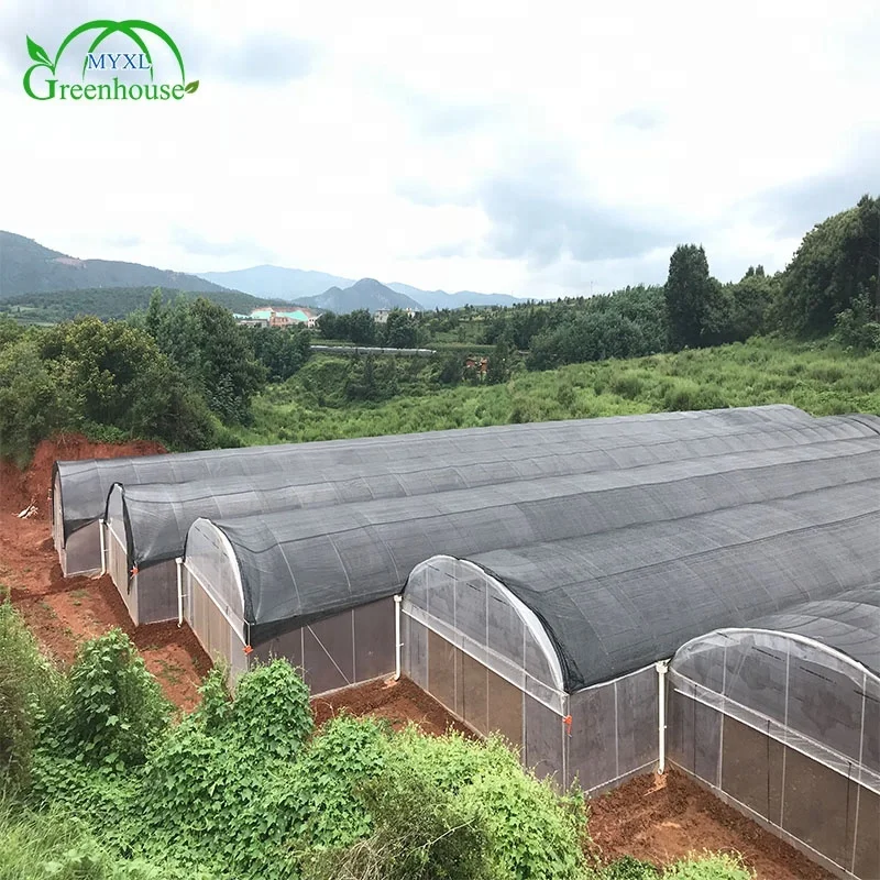 MYXL High Quality Anti-drip Plastic Film Cover Green Houses for Agriculture Production