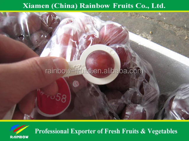 
Fresh grapes china with top quality 