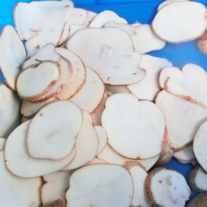 Нержавеющая сталь корнеплод обработки машины, сельдерей куб резки, чипсы резки