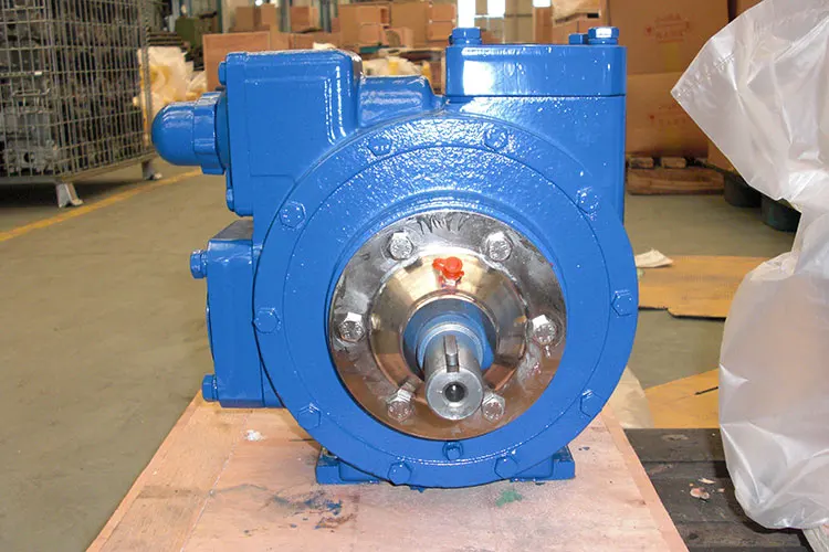 Mini rotary variable self-priming vane pump rotary fuel oil dry rotary vane pump with low pressure