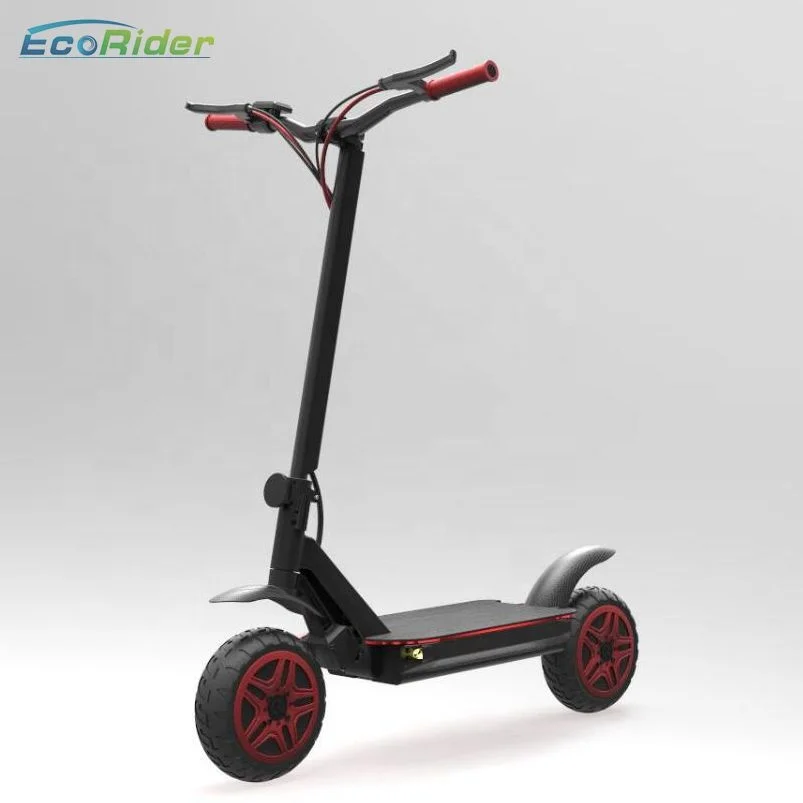 Double Batteries Dual Motor Electric Scooters Electro 3600 Watts Folded E Scooter For EcoRider E4-9 Max