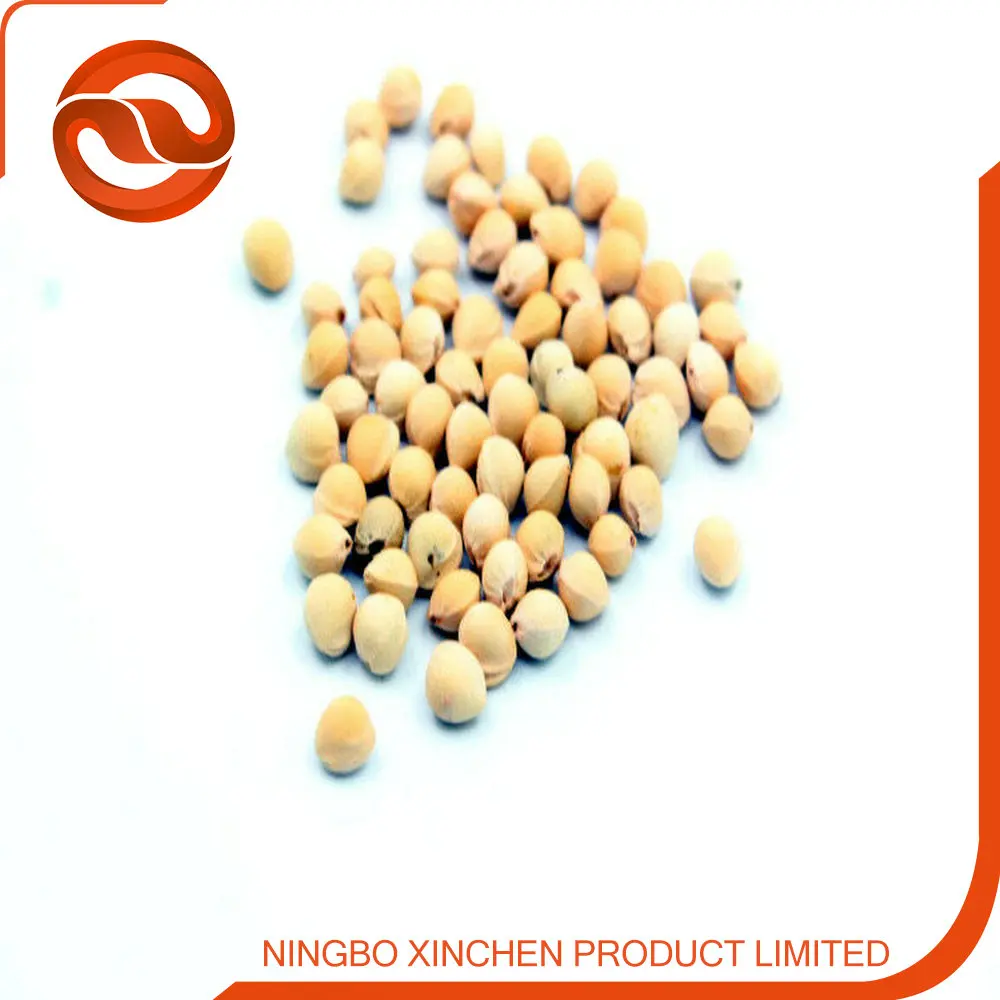 cherry stone seed filler pillow