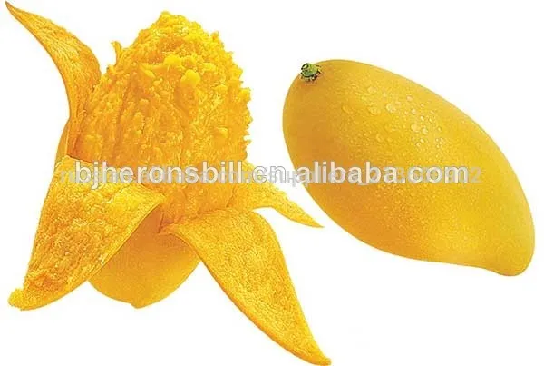 Порошок Манга-Бесплатные образцы