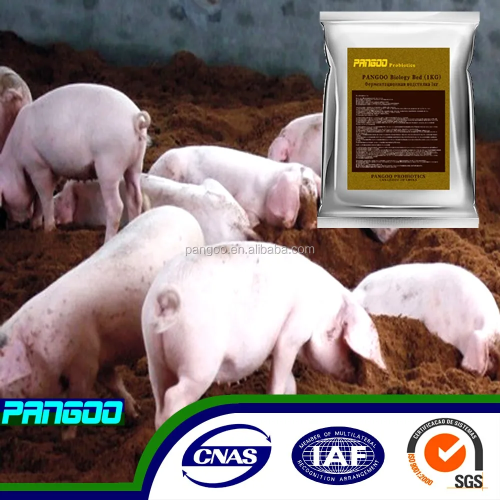 fermentation bed bacteria/ Deep litter for pig