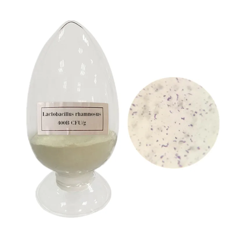 
powder bacillus probiotics lactos natural raw material lactobacillus rhamnosus 