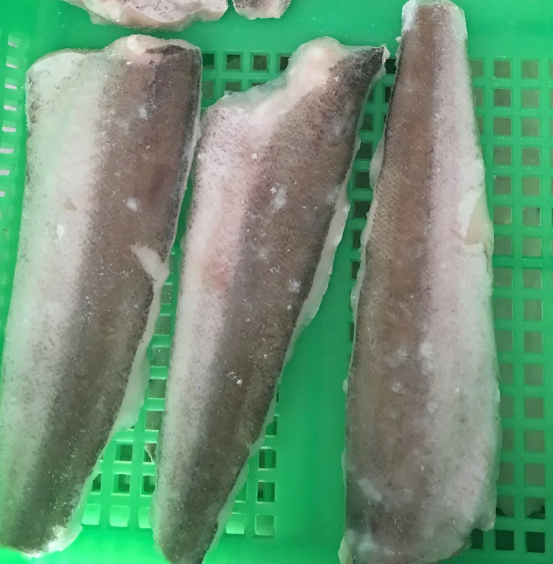 China organic Frozen I.Q.F Pacific Hake Fillets with wholesale price
