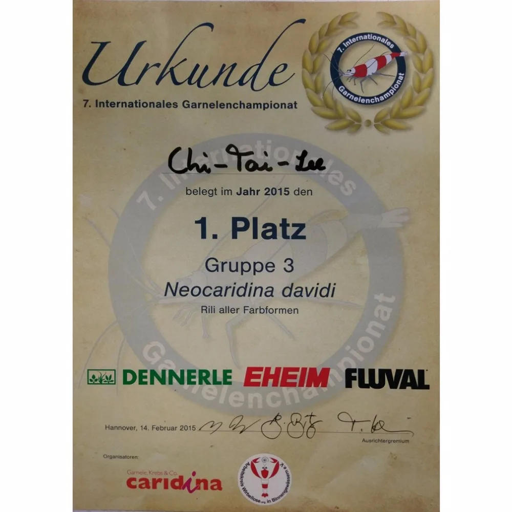 Hot Sale Ornamental Live Blood Parrot Fish