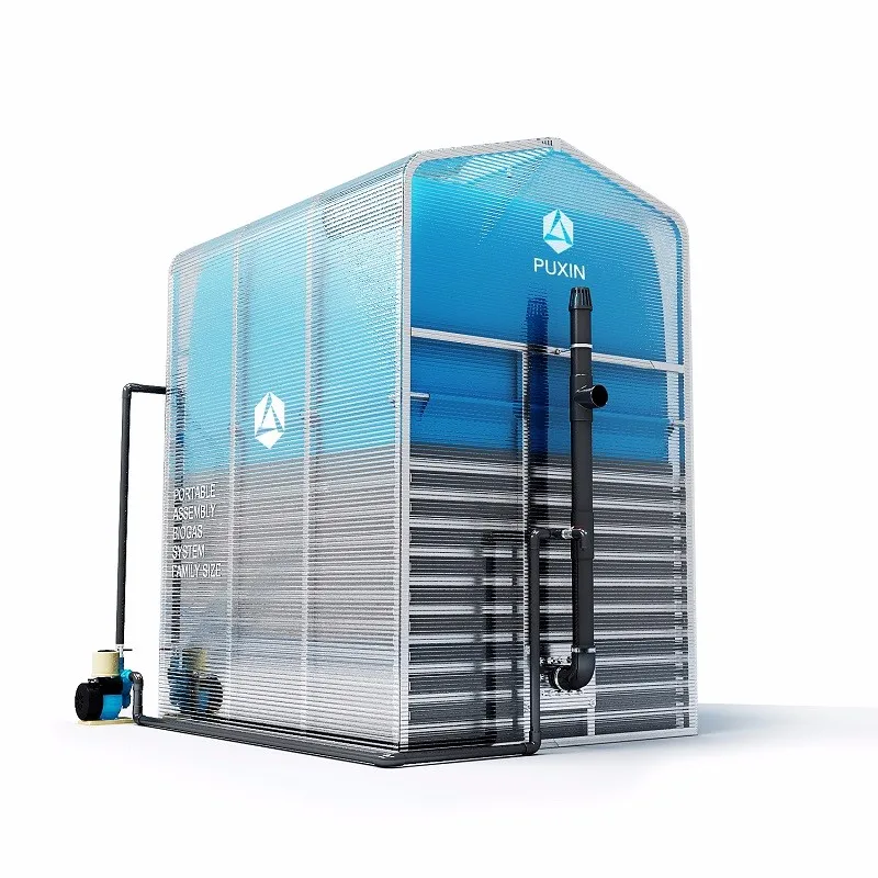 
Chinese Household Anaerobic Biogas Digester for Home Use 