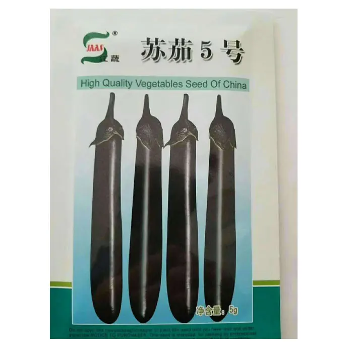 2021 F1 Hybrid eggplant seeds for planting from seeds factory 10gram/bags