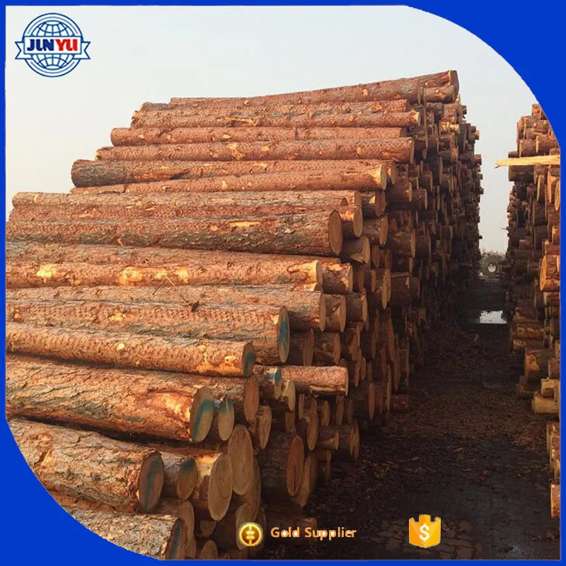 Продажа длинных бревен красной сосны для строительной древесины