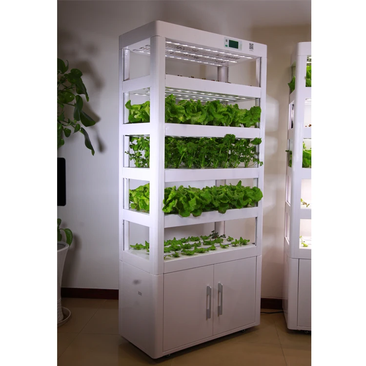 
Urban Farm Indoor Smart Hydroponic Greenhouse Vertical Microgreen Growing System 