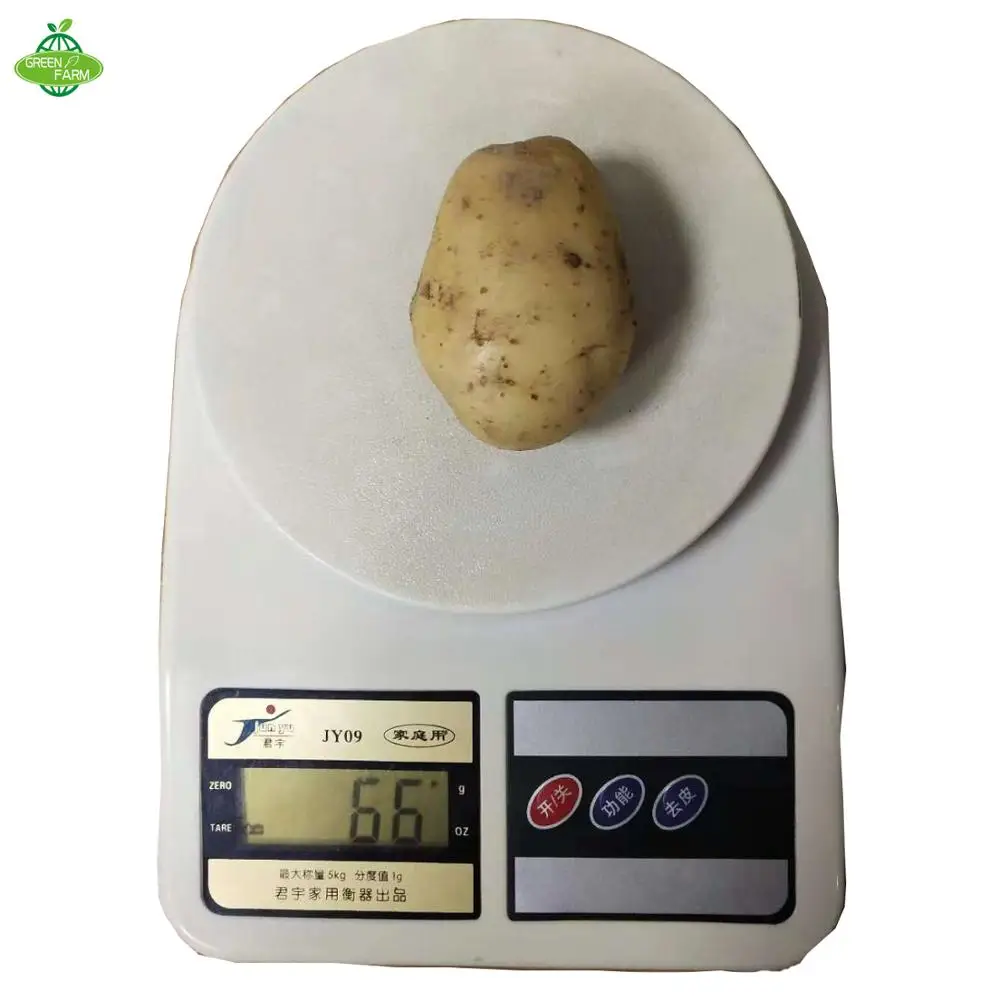 Fresh potato seed,potato seeds for sale