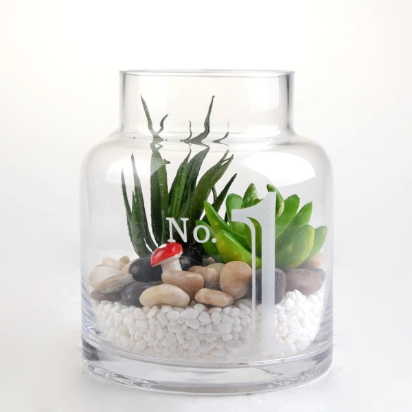 Mintao handblwon round clear glass plant holder glass terrarium