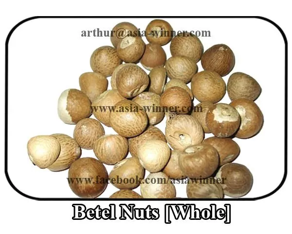 Areca catechu [Whole]