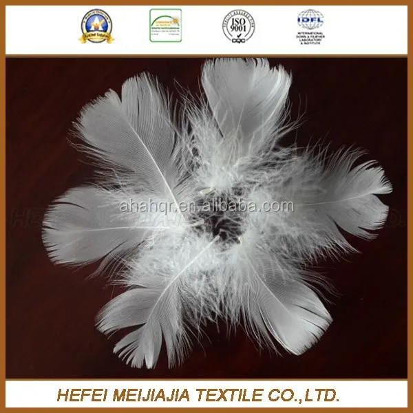 
washed white duck down loose feathers 