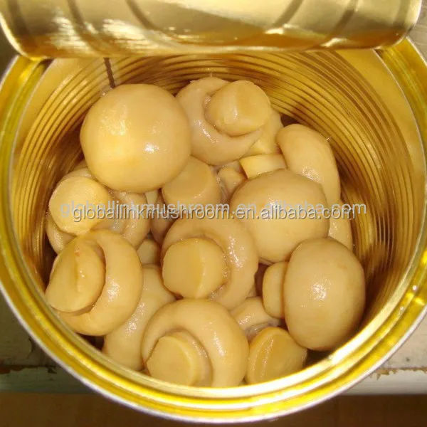 canned mushroom oyster mushrooms and champignon mushroom