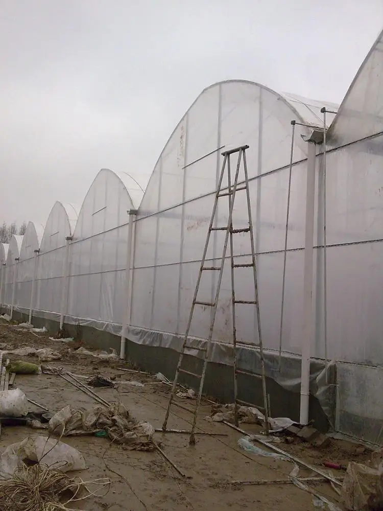 Long Service Life Double Layer Or Multilayer PC Hollow Sheet Multi Span Venlo Type PC Board Greenhouse