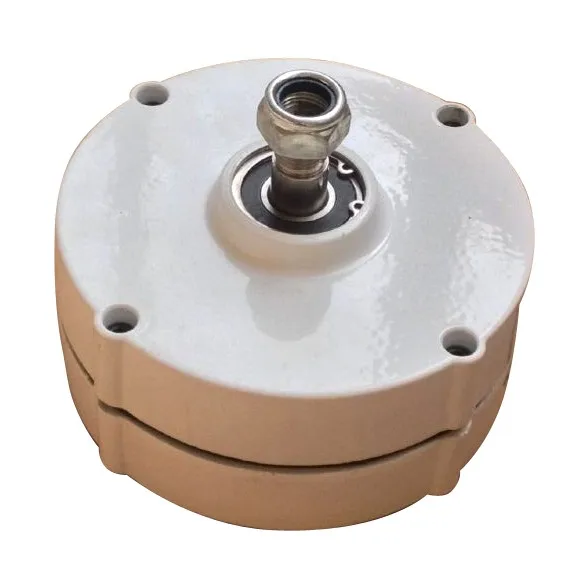 low rpm 300 w permanent magnet generator for sale