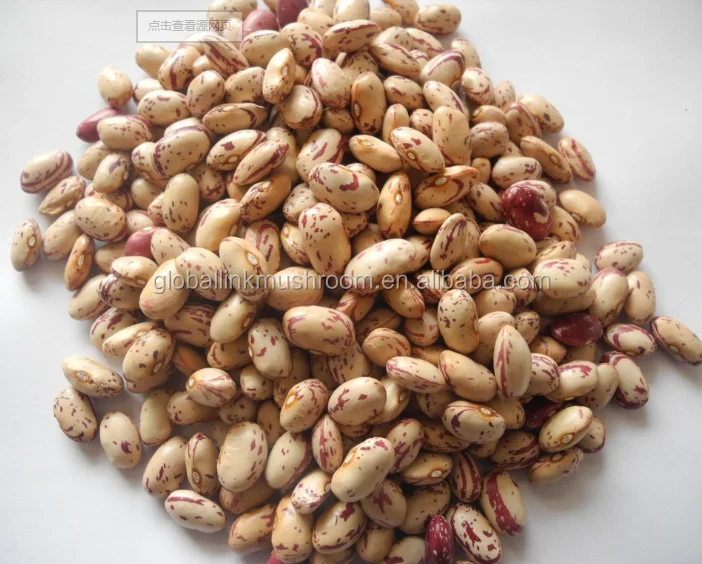 New Crop Light Speckled Kidney Beans American Round