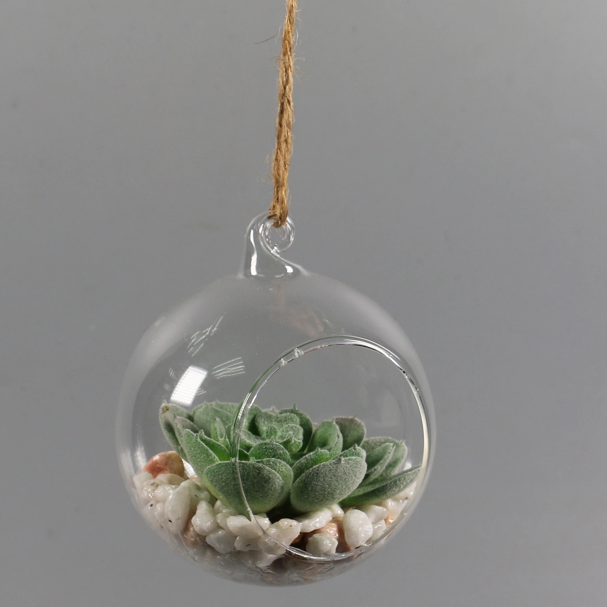Лидер продаж, подвесной прозрачный стеклянный мини искусственный суккулент бонсай для украшения дома и офиса