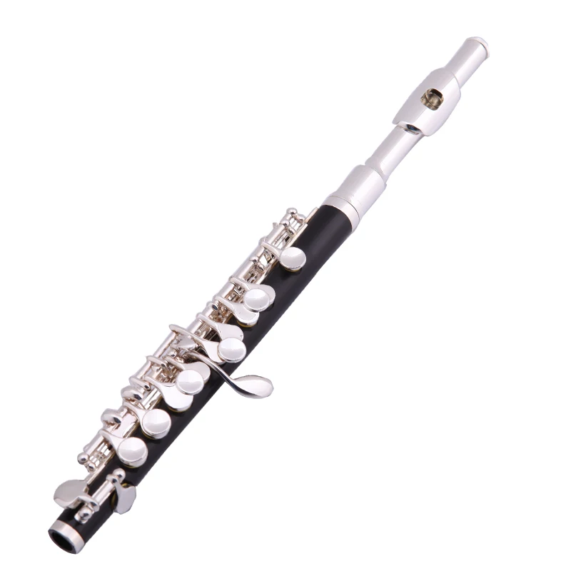 woodwind instrument ABS piccolo HPL-801