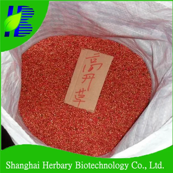 Price Of Seed Sorghum Sudan Grass For Goat Feeding