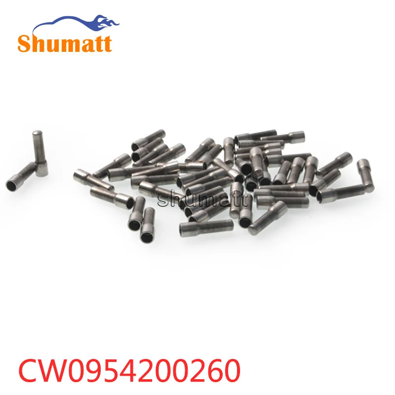 Натуральная дизельная Форсунка системы питания с общей торливной магистралью фильтр CW095420-0260 10 шт. в комплекте