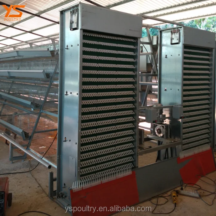Low Price Fully Automatic Egg Collector for Poultry Cage