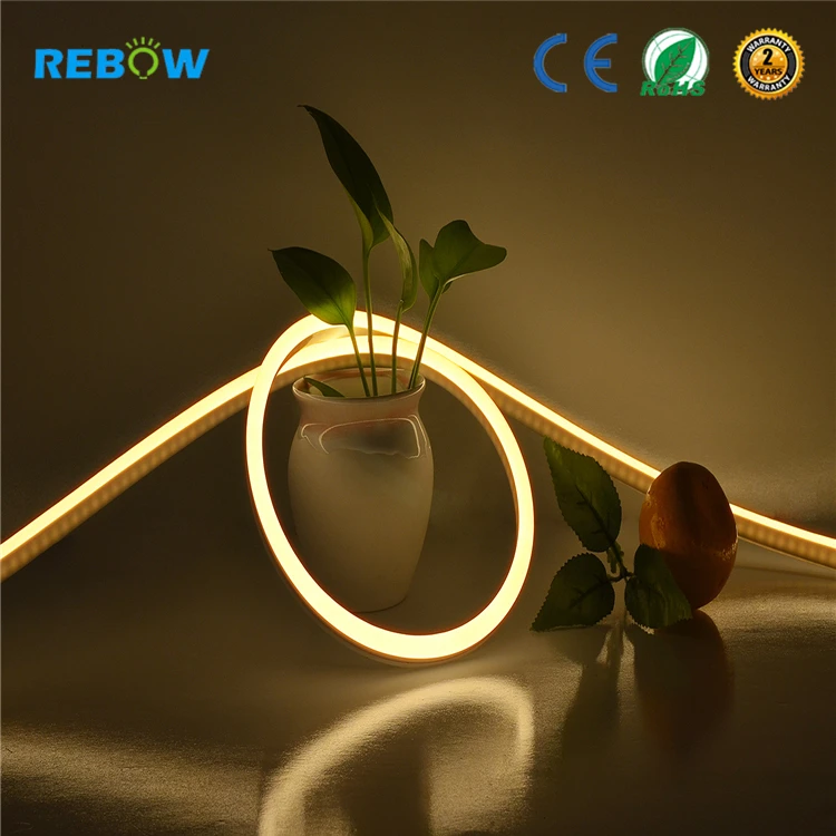 High Quality neon led waterproof 12V 24V 220v neon flex rgb led tube/strip/rope