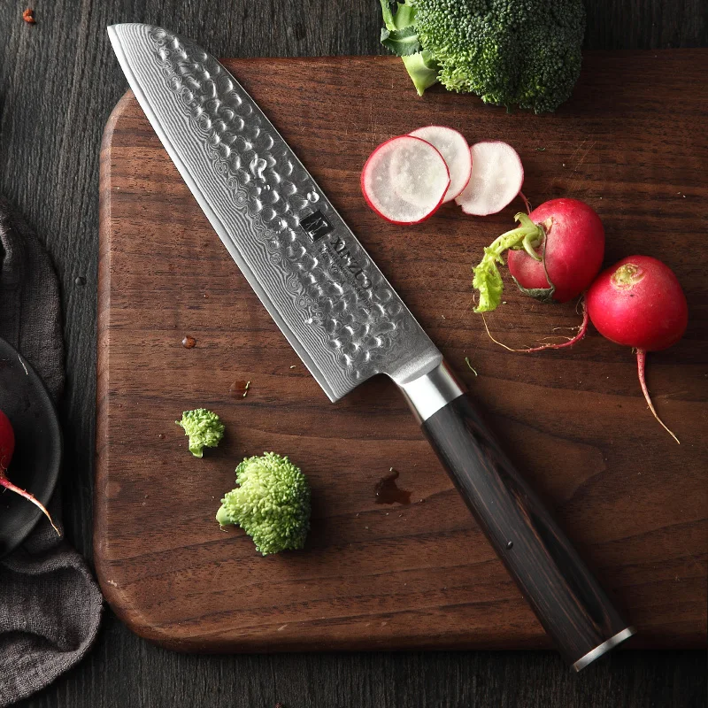 
6 pcs professional Japanese VG10 Damascus steel kitchen knife set 