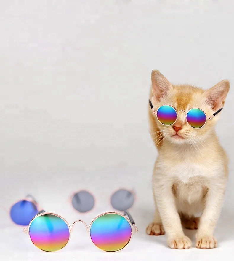 
Hoomall Lovely Pet Dog Glasses For Little Dog Cat Eye-wear Dog Sunglasses Photos Pet Cat Glasses 