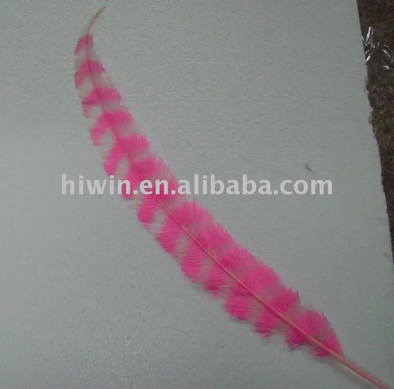 Trimmed Ostrich Feather