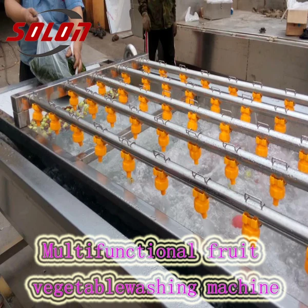 Best sale stainless steel ozone generator fruit and vegetable washer for cleaning vegetables