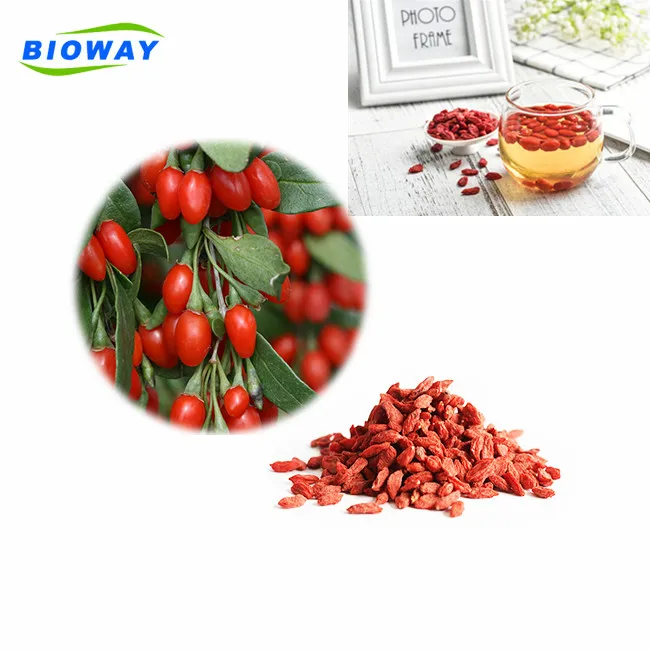 
ЕС NOP сертифицированный оптовая продажа Фабрика питания сушеные органические ягоды Годжи 
