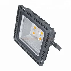 IN-FL105 Reflector Waterproof IP65 COB 20W 30W 50W 70W 100W 150W 200W LED Flood Light Floodlight Lamp Fixture