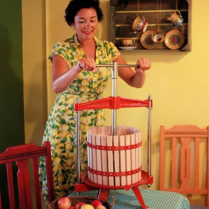 15L соковыжималка для фруктов соковыжималка винный пресс вина фильтрационная машина