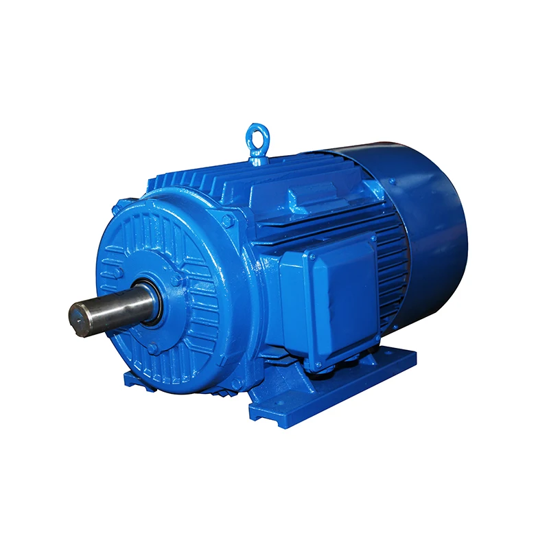 
Directory Y Series 380V 50HZ AC Induction Electric Motor 