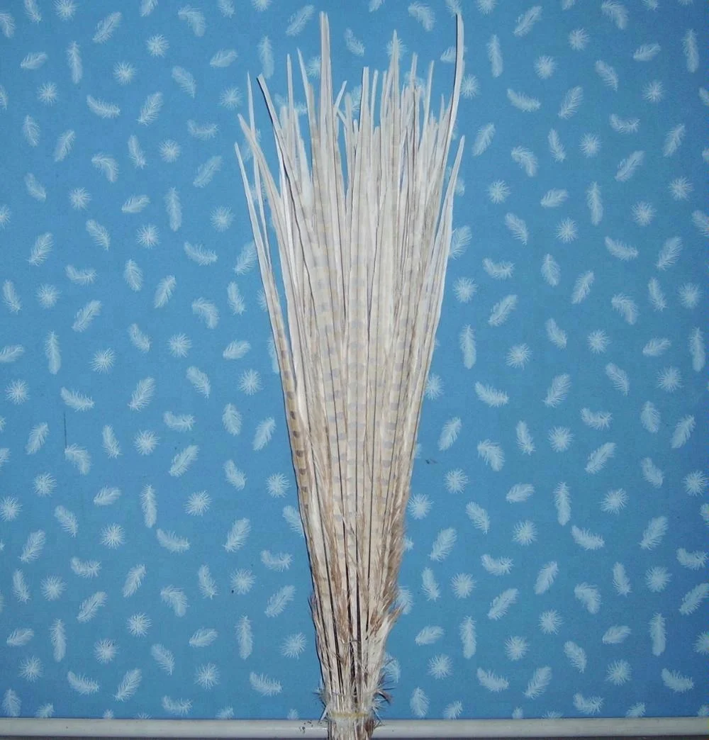 Отбеленные перья фазана для карнавальных костюмов