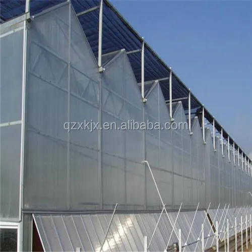 Multi-span Greenhouses transparent polycarbonate agricultural greenhouse